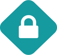 Icon Securityv3