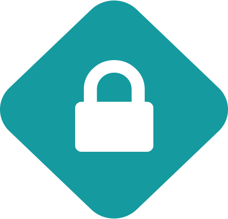 Icon Securityv3