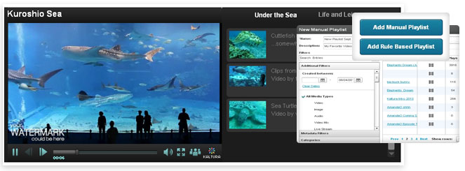 Kaltura Video Platform Playlist(1)