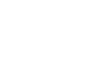 Wikisuite W1