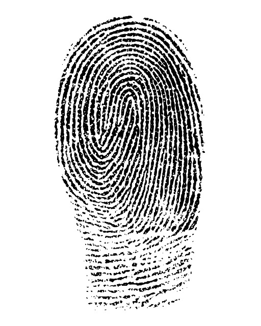 Fingerprint 1382652 640